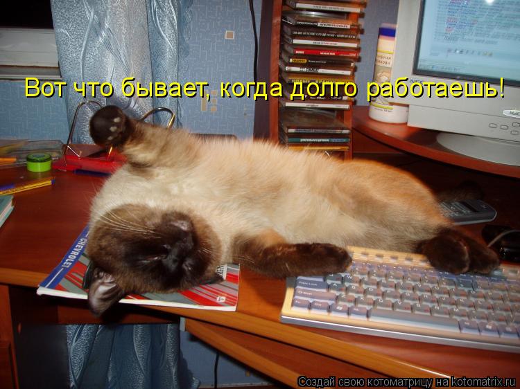 Вот что бывает, когда долго работаешь!... Котоматрица: Вот что бывает, когда долго работаешь!