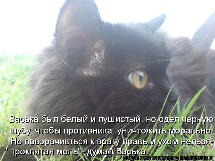 Васька был белый и пушистый, но одел черную шубу, чтобы противника уничтожить морально. Но поворачив... Котоматрица: Васька был белый и пушистый, но одел черную шубу, чтобы противника уничтожить морально. Но поворачивться к врагу правым ухом нельзя- " прокл