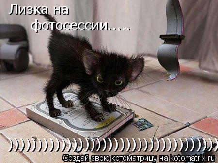 Лизка на фотосессии..... )))))))))))))))))))))))))))))))))))))))))))... Котоматрица: Лизка на фотосессии..... )))))))))))))))))))))))))))))))))))))))))))