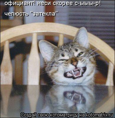 официант! неси скорее с-ыыы-р! челюсть "затекла"... Котоматрица: официант! неси скорее с-ыыы-р! челюсть "затекла"