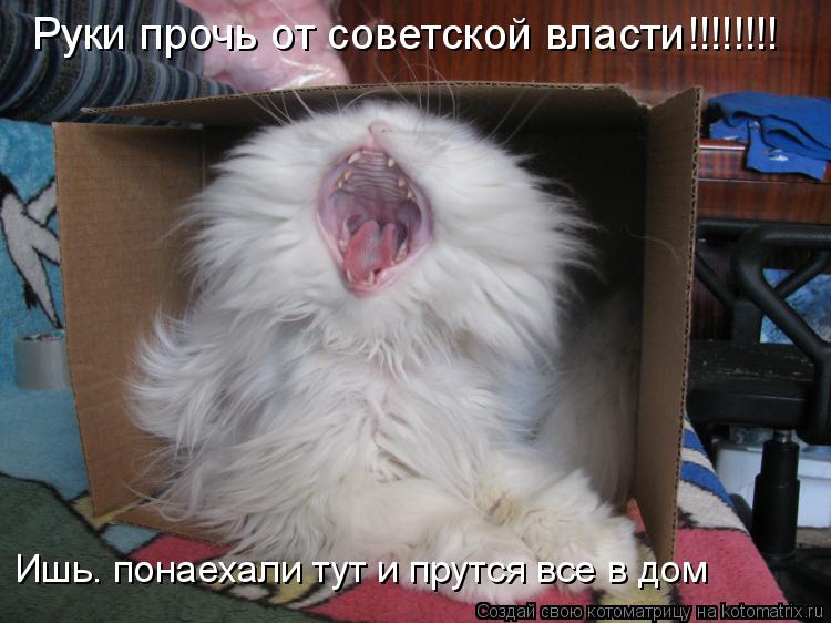 Котоматрица: Руки прочь от советской власти!!!!!!!!  Ишь… понаехали тут и прутся все в дом