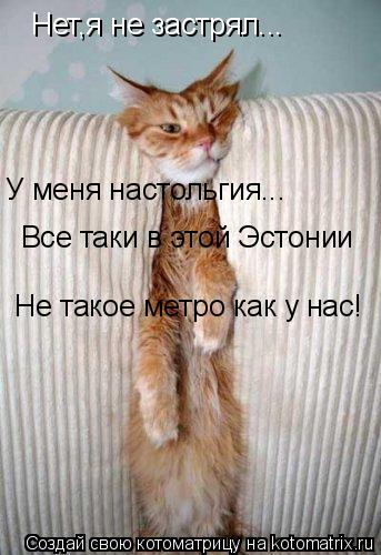 Нет,я не застрял... У меня настольгия... Все таки в этой Эстонии Не такое метро как у нас!... Котоматрица: Нет,я не застрял... У меня настольгия... Все таки в этой Эстонии Не такое метро как у нас!