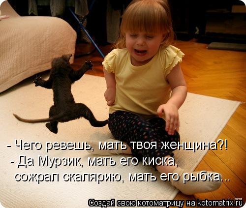 Котоматрица: - Чего ревешь, мать твоя женщина?! - Да Мурзик, мать его киска, сожрал скалярию, мать его рыбка...