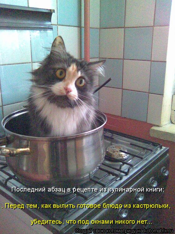 Последний абзац в рецепте из кулинарной книги: … Перед тем, как вылить готовое блюдо из кастрюльки, ... Котоматрица: Последний абзац в рецепте из кулинарной книги: … Перед тем, как вылить готовое блюдо из кастрюльки, убедитесь, что под окнами никого нет...