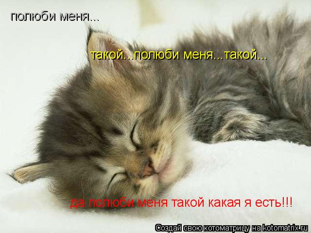 полюби меня... такой...полюби меня...такой... да полюби меня такой какая я есть!!!... Котоматрица: полюби меня... такой...полюби меня...такой... да полюби меня такой какая я есть!!!