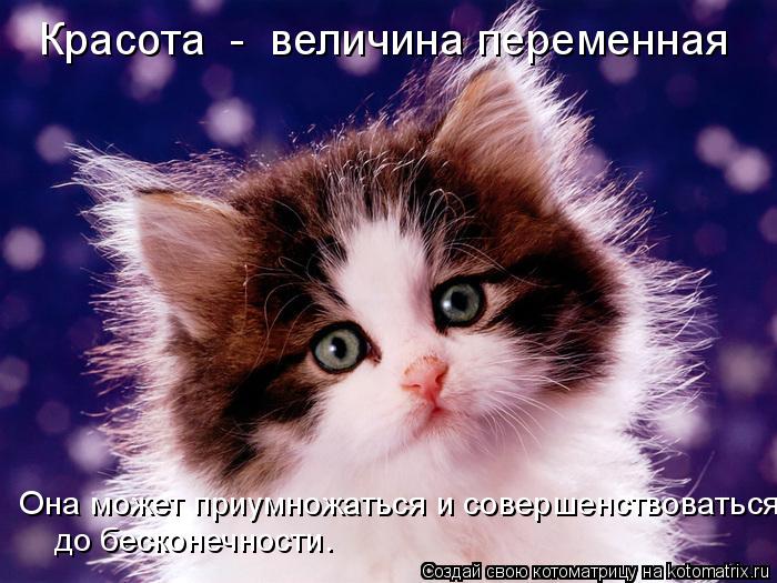 Красота - величина переменная Она может приумножаться и совершенствоваться до бесконечности.... Котоматрица: Красота - величина переменная Она может приумножаться и совершенствоваться до бесконечности.