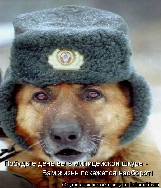Побудьте день вы в милицейской шкуре - Вам жизнь покажется наоборот!... Котоматрица: Побудьте день вы в милицейской шкуре - Вам жизнь покажется наоборот!