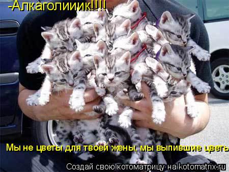 -Алкаголииик!!!! Мы не цветы для твоей жены, мы выпившие цветы...... Котоматрица: -Алкаголииик!!!! Мы не цветы для твоей жены, мы выпившие цветы...