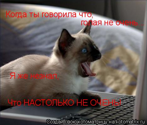 Когда ты говорила что, голая не очень... Я же незнал, Что НАСТОЛЬКО НЕ ОЧЕНЬ!... Котоматрица: Когда ты говорила что, голая не очень... Я же незнал, Что НАСТОЛЬКО НЕ ОЧЕНЬ!