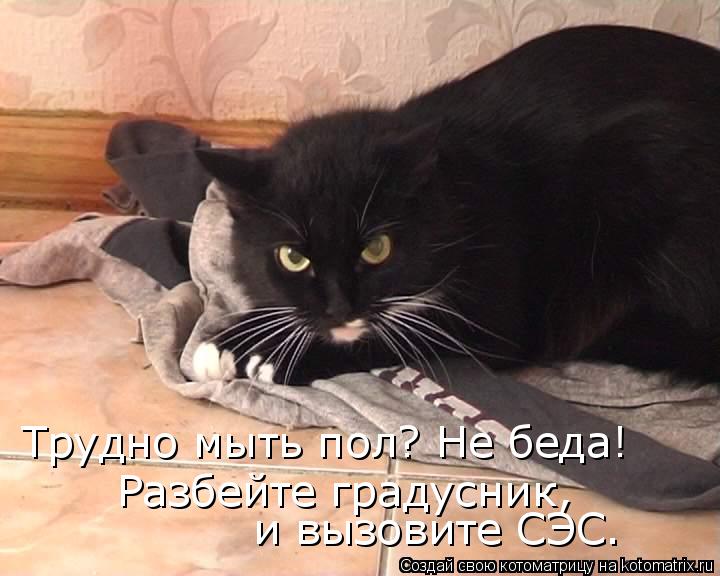 Трудно мыть пол? Не беда! Разбейте градусник, и вызовите СЭС.... Котоматрица: Трудно мыть пол? Не беда! Разбейте градусник, и вызовите СЭС.
