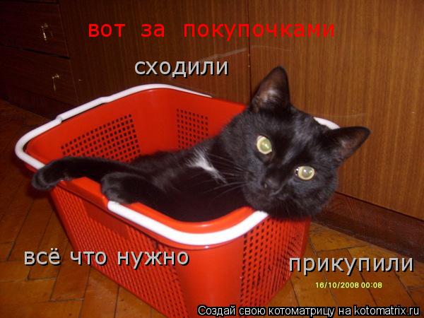 вот за покупочками сходили всё что нужно прикупили... Котоматрица: вот за покупочками сходили всё что нужно прикупили