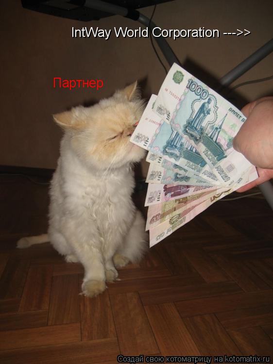 Котоматрица: IntWay World Corporation --->> Партнер