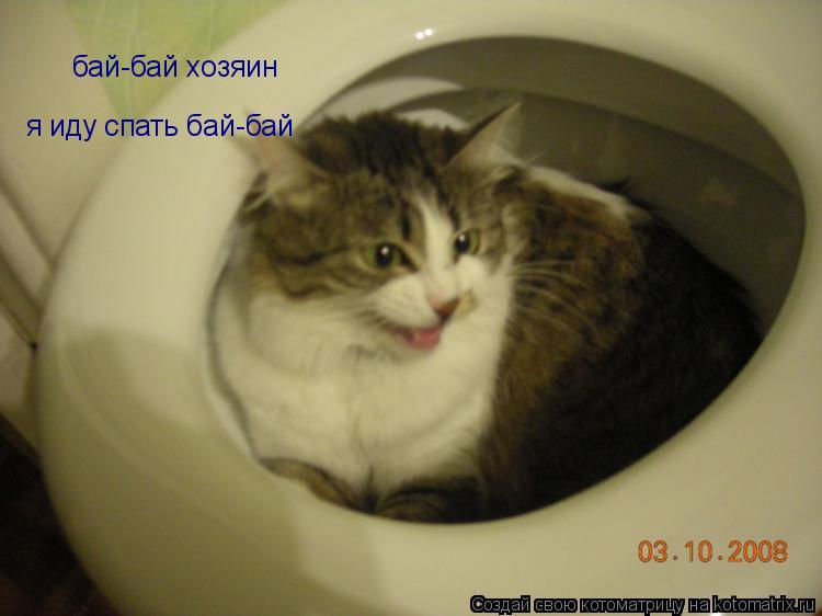 бай-бай хозяин я иду спать бай-бай... Котоматрица: бай-бай хозяин я иду спать бай-бай