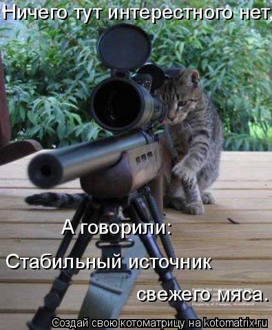 Ничего тут интерестного нет, Стабильный источник свежего мяса. А говорили:... Котоматрица: Ничего тут интерестного нет, Стабильный источник свежего мяса. А говорили: