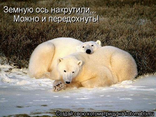 Земную ось накрутили... Можно и передохнуть!... Котоматрица: Земную ось накрутили... Можно и передохнуть!