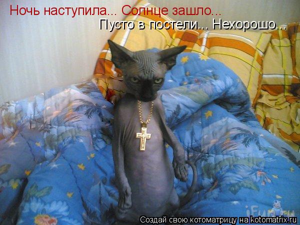 Ночь наступила... Солнце зашло... Пусто в постели... Нехорошо...... Котоматрица: Ночь наступила... Солнце зашло... Пусто в постели... Нехорошо...