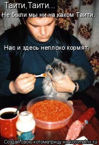 Таити,Таити... Не были мы ни на каком Таити. Нас и здесь неплохо кормят... Котоматрица: Таити,Таити... Не были мы ни на каком Таити. Нас и здесь неплохо кормят
