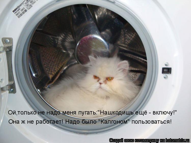 Ой,только не надо меня пугать:"Нашкодишь ещё - включу!" Она ж не работает! Надо было "Калгоном" польз... Котоматрица: Ой,только не надо меня пугать:"Нашкодишь ещё - включу!" Она ж не работает! Надо было "Калгоном" пользоваться!