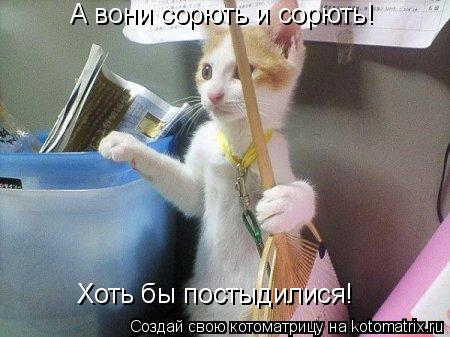 А вони сорють и сорють! Хоть бы постыдилися!... Котоматрица: А вони сорють и сорють! Хоть бы постыдилися!