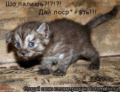 Шо палишь?!?!?! Дай поср*#$ть!!!... Котоматрица: Шо палишь?!?!?! Дай поср*#$ть!!!