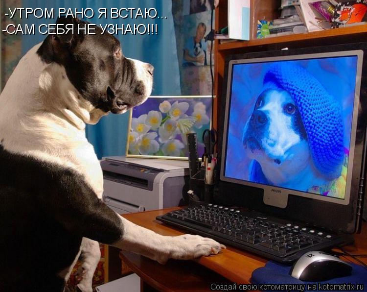 -УТРОМ РАНО Я ВСТАЮ... -САМ СЕБЯ НЕ УЗНАЮ!!!... Котоматрица: -УТРОМ РАНО Я ВСТАЮ... -САМ СЕБЯ НЕ УЗНАЮ!!!