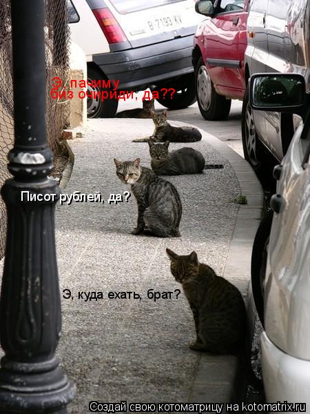 Э, куда ехать, брат? Писот рублей, да? Э, пачиму биз очириди, да??... Котоматрица: Э, куда ехать, брат? Писот рублей, да? Э, пачиму биз очириди, да??