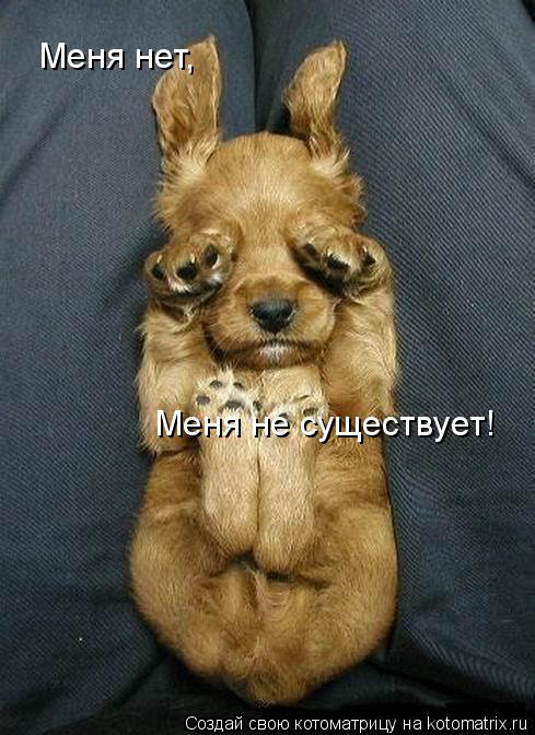 Меня нет, Меня не существует!... Котоматрица: Меня нет, Меня не существует!