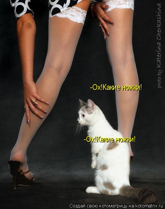 -Ох!Какие ножки! -Ох!Какие ножки!... Котоматрица: -Ох!Какие ножки! -Ох!Какие ножки!