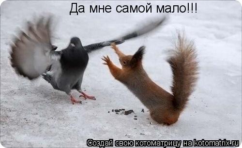 Котоматрица: Да мне самой мало!!!