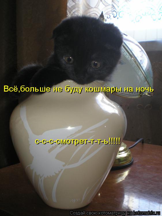Всё,больше не буду кошмары на ночь с-с-с-смотрет-т-т-ь!!!!!... Котоматрица: Всё,больше не буду кошмары на ночь с-с-с-смотрет-т-т-ь!!!!!