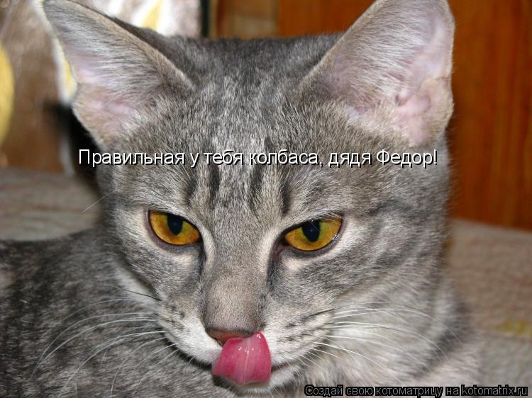 Правильная у тебя колбаса, дядя Федор!... Котоматрица: Правильная у тебя колбаса, дядя Федор!