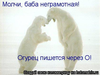 Котоматрица: Молчи, баба неграмотная!  Огурец пишется через О!