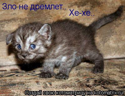 Котоматрица: Зло не дремлет.. Хе-хе..