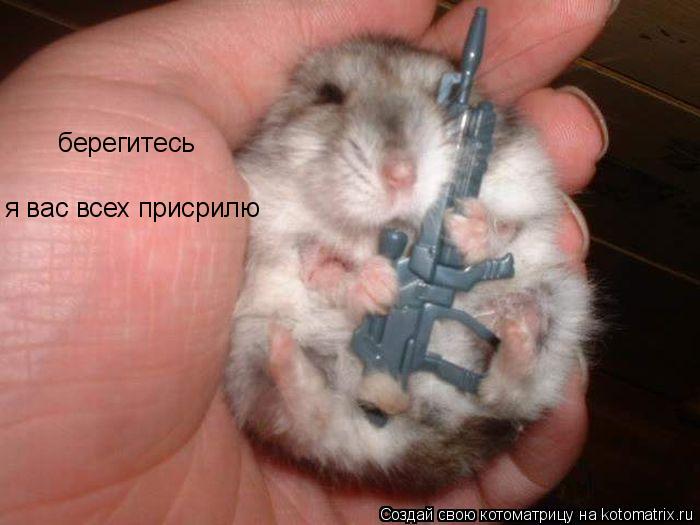 берегитесь я вас всех присрилю... Котоматрица: берегитесь я вас всех присрилю