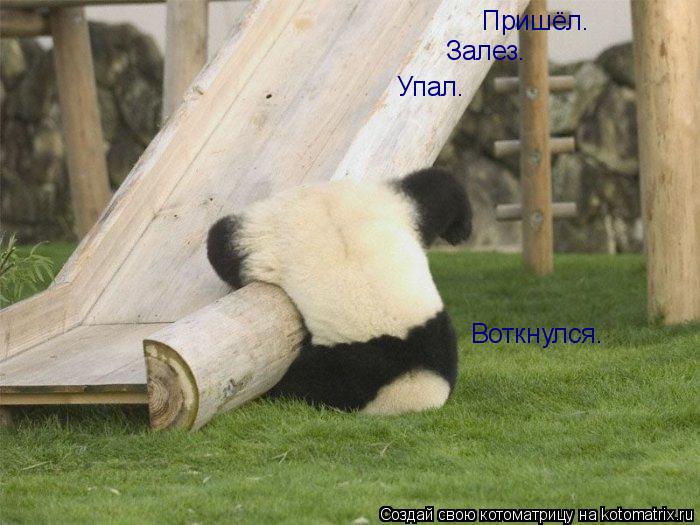 Пришёл. Залез. Упал. Воткнулся.... Котоматрица: Пришёл. Залез. Упал. Воткнулся.