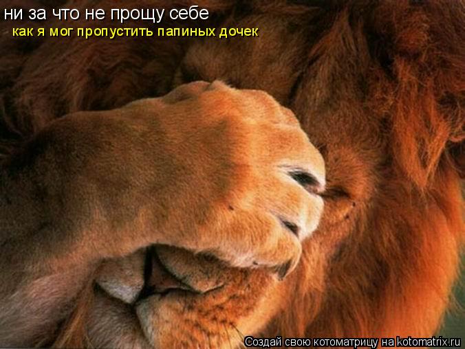 ни за что не прощу себе как я мог пропустить папиных дочек... Котоматрица: ни за что не прощу себе как я мог пропустить папиных дочек