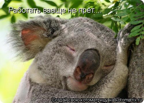 Котоматрица: Работать вааще не прёт....