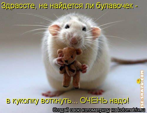 Здрассте, не найдется ли булавочек - в куколку воткнуть... ОЧЕНЬ надо!... Котоматрица: Здрассте, не найдется ли булавочек - в куколку воткнуть... ОЧЕНЬ надо!
