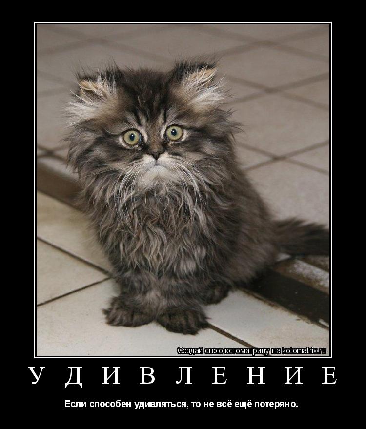 Котоматрица: У Д И В Л Е Н И Е Если способен удивляться, то не всё ещё потеряно. 