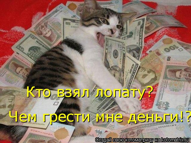Кто взял лопату? Чем грести мне деньги!?... Котоматрица: Кто взял лопату? Чем грести мне деньги!?