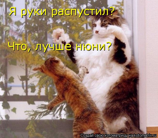 Я руки распустил? Что, лучше нюни?... Котоматрица: Я руки распустил? Что, лучше нюни?