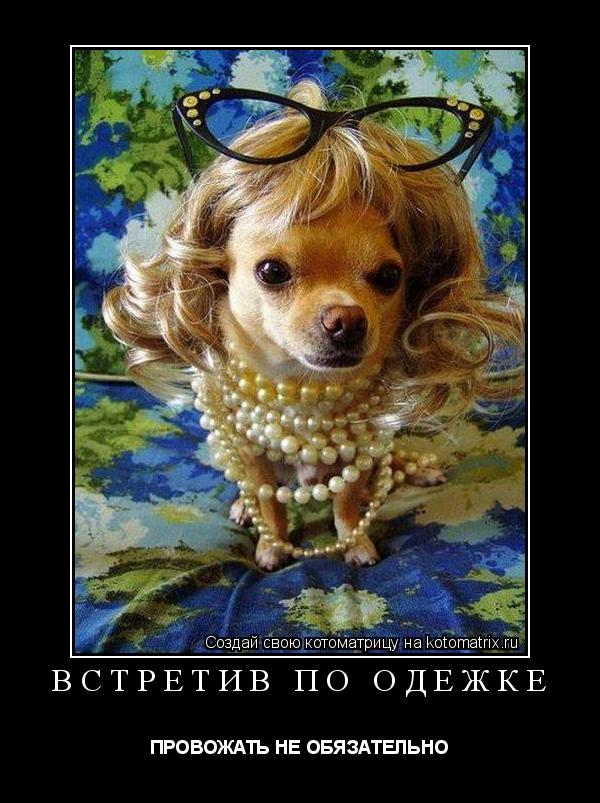 ВСТРЕТИВ ПО ОДЕЖКЕ ПРОВОЖАТЬ НЕ ОБЯЗАТЕЛЬНО... Котоматрица: ВСТРЕТИВ ПО ОДЕЖКЕ ПРОВОЖАТЬ НЕ ОБЯЗАТЕЛЬНО