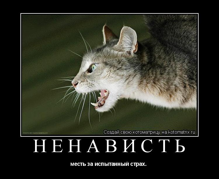 НЕНАВИСТЬ месть за испытанный страх. ... Котоматрица: НЕНАВИСТЬ месть за испытанный страх.