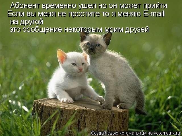 Абонент временно ушел но он может прийти Если вы меня не простите то я меняю E-mail на другой на друг... Котоматрица: Абонент временно ушел но он может прийти Если вы меня не простите то я меняю E-mail на другой на другой это сообщение некоторым моим друзей