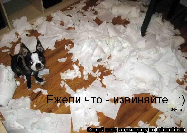 Ежели что - извиняйте...:) CBETa... Котоматрица: Ежели что - извиняйте...:) CBETa