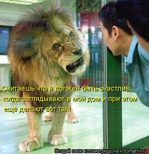 Считаешь что я должен быть счастлив, когда заглядывают в мой дом и при этом ещё делают вот так!... Котоматрица: Считаешь что я должен быть счастлив, когда заглядывают в мой дом и при этом ещё делают вот так!