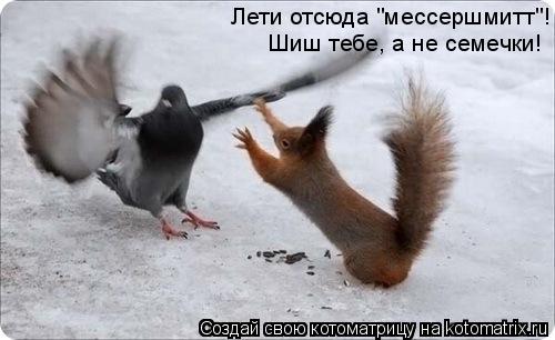 Котоматрица: Лети отсюда "мессершмитт"! Шиш тебе, а не семечки!