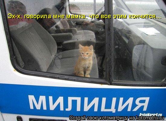 Эх-х, говорила мне мамка, что все этим кончится...... Котоматрица: Эх-х, говорила мне мамка, что все этим кончится...