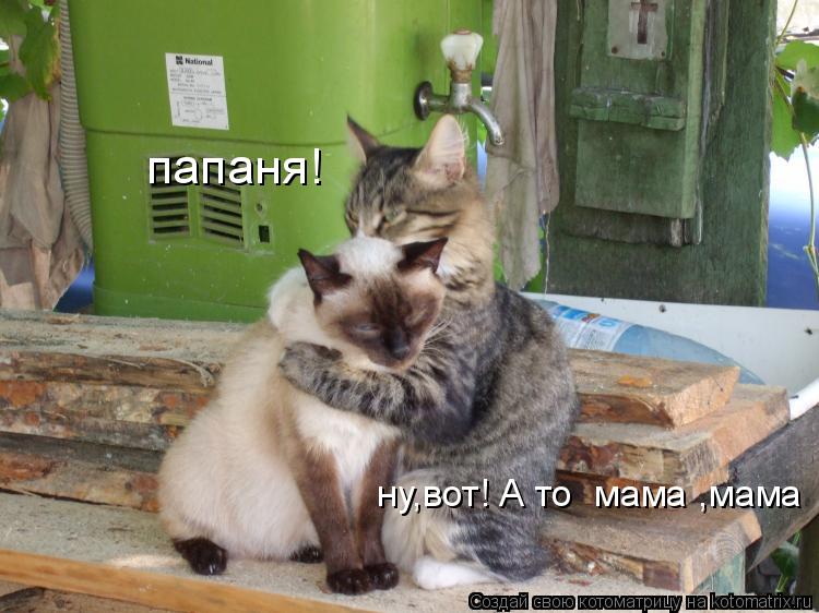 ну,вот! А то мама ,мама папаня!... Котоматрица: ну,вот! А то мама ,мама папаня!