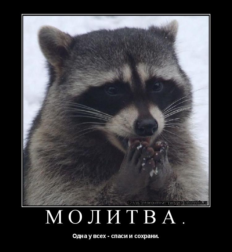 Молитва. Одна у всех - спаси и сохрани.... Котоматрица: Молитва. Одна у всех - спаси и сохрани.